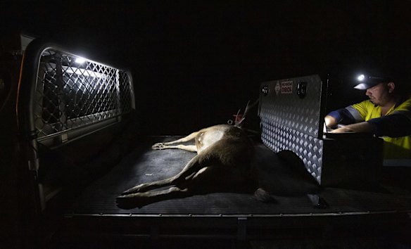 Biosecurity officer Gareth Cleal packs up at the end of the night.