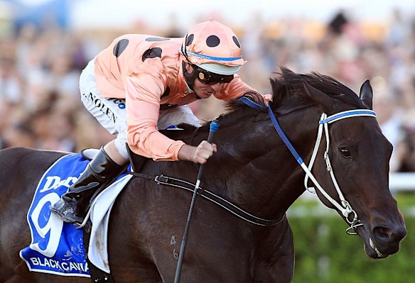 Black Caviar ridden by Luke Nolen.