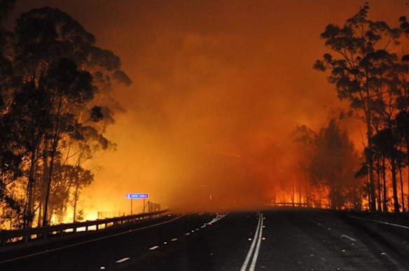 A wildfire near Deans Gap, Australia, crosses the Princes Highway Tuesday, Jan. 8, 2013.