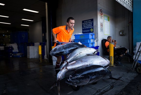 Early morning activity at the Sydney Fish Market.