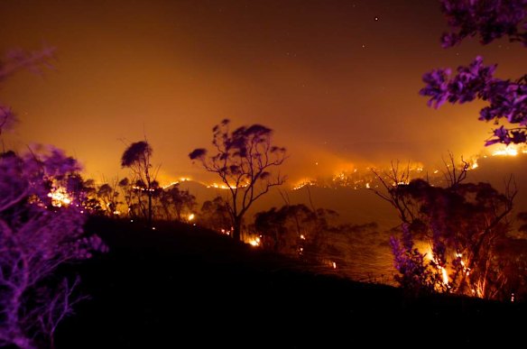 Fire front moves through the Blue Moutains off the Bells Line of Road west of Mt Tomah.