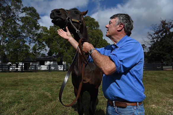 Arthur Mitchell, owner of Yarraman Park with 'I am Invincible' one of Australia's leading stallion breeders. The equine industry is a critical industry in the Upper Hunter region and being discussed by candidates in the up coming by-election. Scone, NSW.