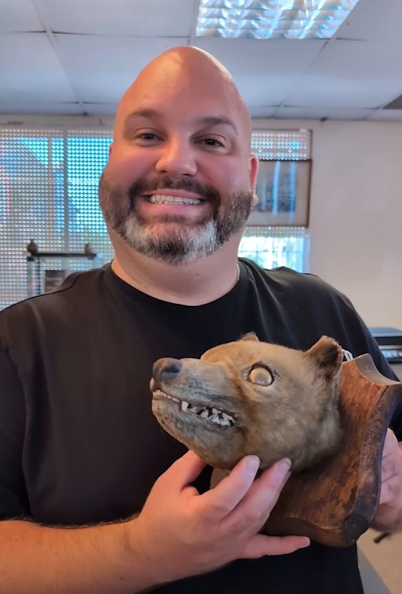 James Cranfield, a taxidermy enthusiast, with the Tasmanian tiger he bought at auction.