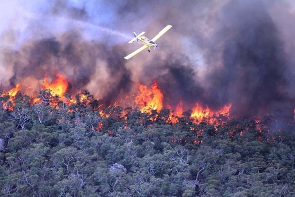 Grampians Fire