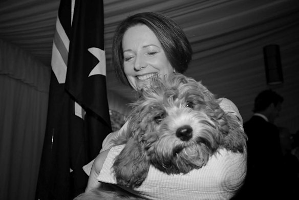 Prime Minister Julia Gillard cuddles her cavoodle Reuben sporting an Australian flag scarf at a morning tea for the Australian of the Year finalists at The Lodge in Canberra on Wednesday 25 January 2012.