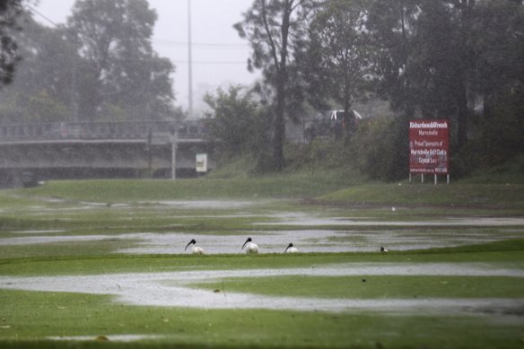 Heavy rain floods the golf course adjacent to Riverside Cresent, Marrickville.