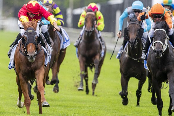 Racing returns to Warwick Farm on Wednesday.