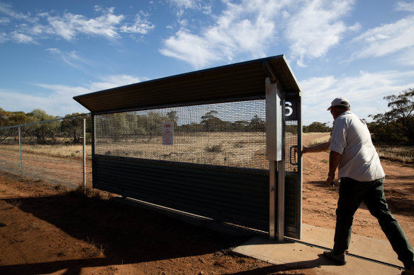 The fence that surrounds a 9500-hectare area within the Mallee Cliffs National Park where all foxes and cats have been removed, to enable the successful reintroduction of native species, like numbats, greater stick-nest rats, and bilbies.