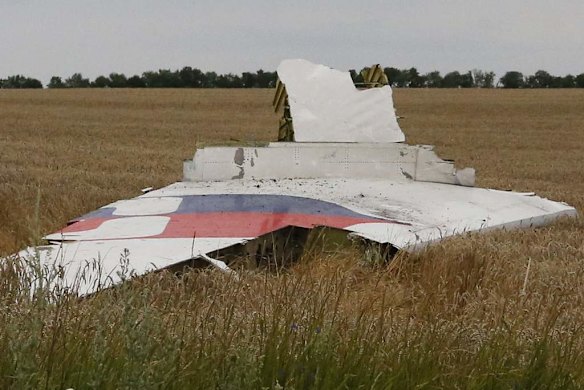 Wreckage of a Malaysia Airlines Boeing 777 plane is seen after it crashed near the settlement of Grabovo in the Donetsk region.