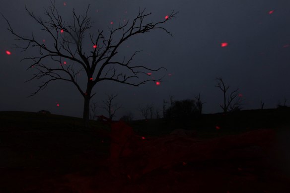 Snow falls across the Central Tablelands, around Oberon and Black Springs, settling on the barren paddocks and dried dams.