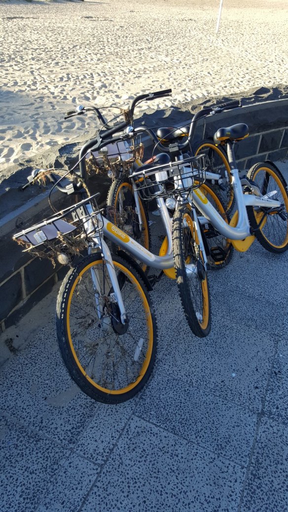 Abandoned oBikes found at beach.