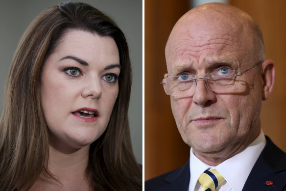 Sarah Hanson-Young says David Leyonhjelm hurled sexist abuse at her during a debate on violence against women.