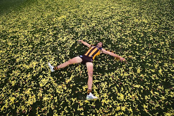 Ben Stratton takes in all in after Hawthorn's win.