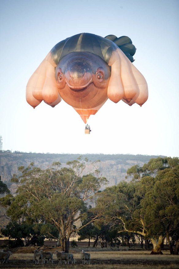 The Sky Whale Balloon for the Centenary of Canberra Commission Commission. First flight of the Balloon