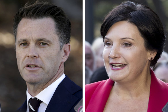 Vying for NSW Labor leadership: Chris Minns and Jodi Mckay.