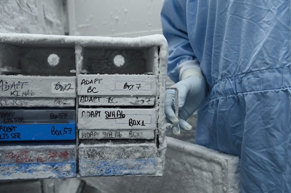 Stored samples of COVID-19 at St Vincent's Centre for Applied Medical Research, Darlinghurst.