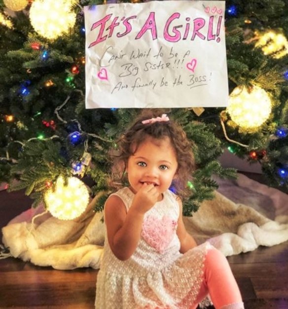 Under a Christmas Tree, The Rock announced he and Lauren Hashian are expecting their second child together with a little help from their first daughter, Jasmine Lia." Our Jasmine Lia would like to make a big announcement - IT’S A GIRL! @laurenhashianofficial and I are boundlessly grateful for this blessing as this spring we’ll welcome our second baby," he captioned the post on Instagram. He continued by discussing his female dominated home, saying he wouldn't have it any other way, "and once again, big daddy is completely surrounded by beautiful estrogen and loving, powerful female mana. All girls. Only dude.  I wouldn’t have it any other way.  Plus, Jazzy is excited to boss around and protect her lil’ sis."