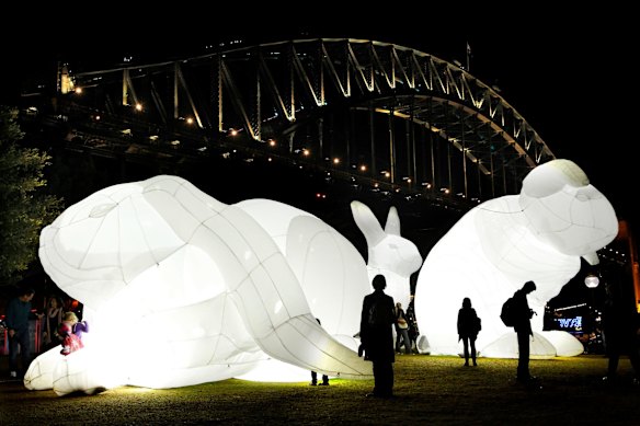 Giant glowing rabbits