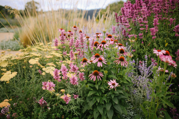 Flowers and grasses jostle for space.