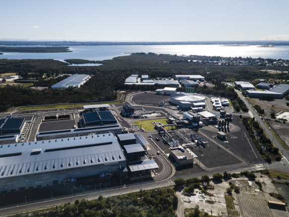 Sydney’s desalination plant has been switched back on to ensure the city’s water quality levels are maintained during the extreme rainfall in the main catchments.