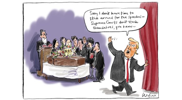 Illustration: Cathy Wilcox