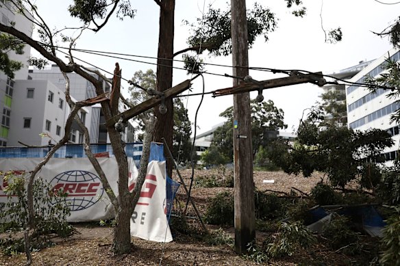 Storm damage on Merrima street in Gordon.