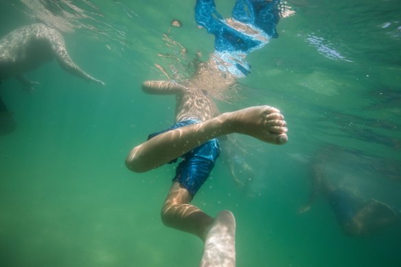 Children swim at Shark Beach, Nielsen Park, during Australia day.
