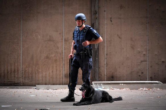 Training demonstration with the Dog Squad division of Victoria Police.