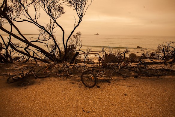 Young Theo and his family rode their bike to Bastion Point beach and dug a hole  in the sand where they hid over night while the fire came through. The remains of his bike after the fire.