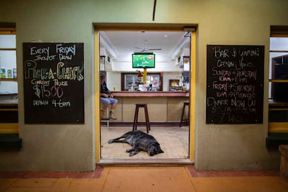 'Cash' the dog at the Royal Carrangarra Hotel in Tambo, Queensland.