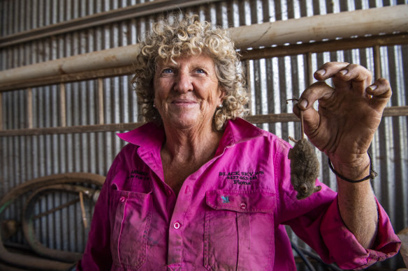Grain farmer Fiona Adams from Wellington in NSW’s Central West holds a mouse that her dog killed.  