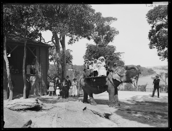 Elephant ride on Jessie at Moore Park Zoological Gardens, date unknown.