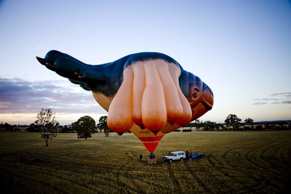The Sky Whale Balloon for the Centenary of Canberra Commission Commission. First flight of the Balloon.
