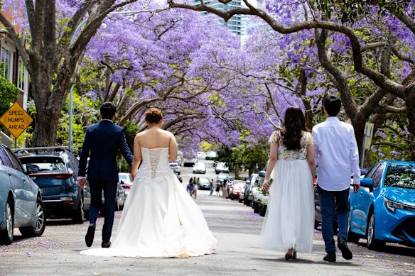 Mr & Mrs Kinarta, and Mr & Mrs Soegianto, both originally from Indonesia, are having wedding photos taken with under jacarandas trees in Kirribilli.