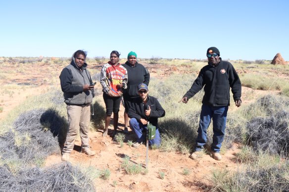 Martu rangers installing sound recorders as part of efforts to track night parrots.