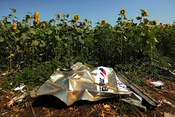 Sunflowers surround the MH17 crash site in East Ukraine. 