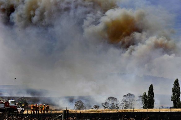 Residents and RSF on site at a major bushfire on Mount Forest Road near Cooma.
