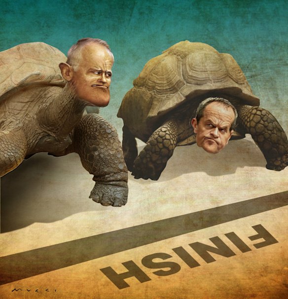 Bill Shorten and Malcolm Turnbull.
