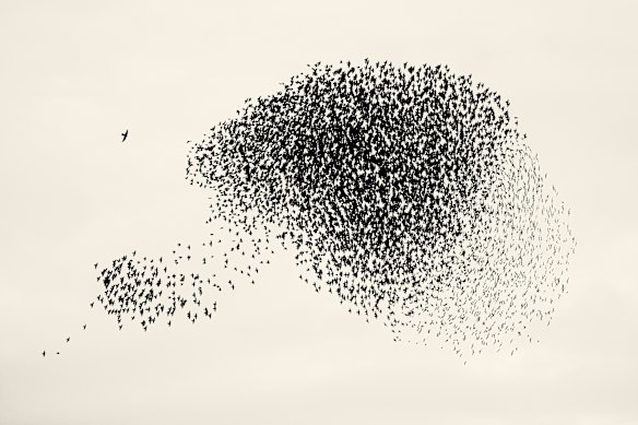 Black Sun #140, Rome.