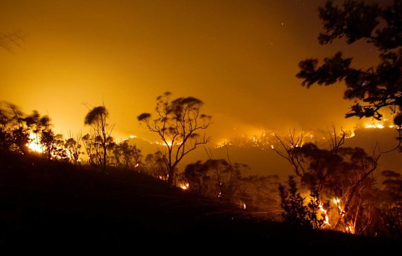 Fire front moves through the Blue Moutains off the Bells Line of Road west of Mt Tomah late last night.