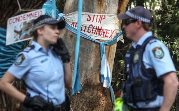 Protestors gather at Sydney Park where trees are being cut down to make way for WestConnex.