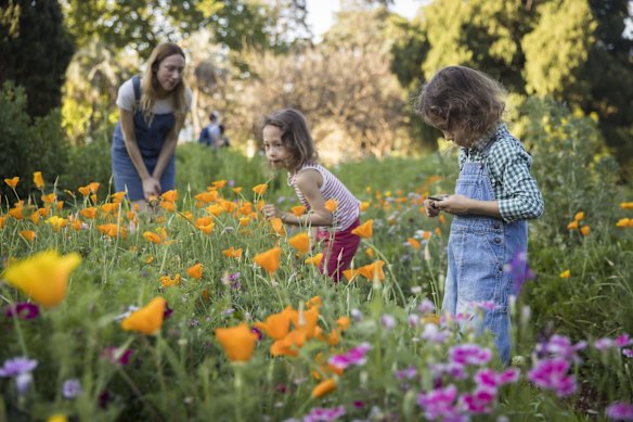 Twins Gabriel and Camille, of Forest Lodge, with mum Nathalie, enjoying the Wildflower Meadow at the start of Spring in Sydney, during COVID lockdown.