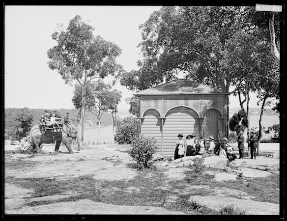 Elephant ride at Taronga Zoological Park, February 1917. 