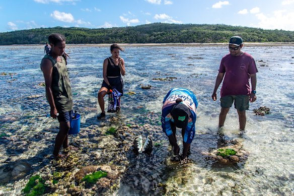 Collecting clam and spider shell with the Mabo family at Las Beach.