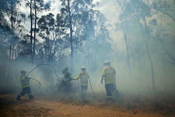 NSW Rural Fire Service and NSW Fire Rescue Crews tackle a deliberately lit bushfire near Bidwill in Sydney's west.