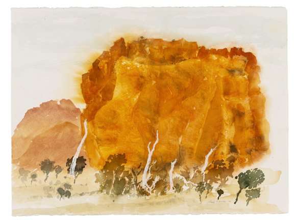 Orange walk with dead trees 