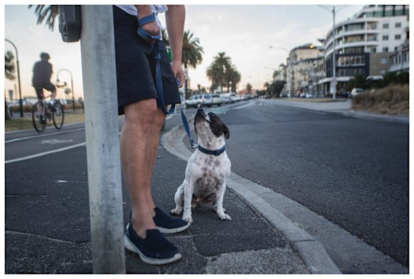 Miss Maudie out for a walk with Neil.
