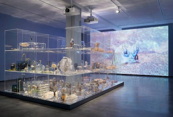 Janet Laurance, After Nature exhibition

Janet Laurence, Deep Breathing: Resuscitation for the Reef, 2015–2016/2019. Installation view, Janet Laurence: After Nature, MCA, Sydney, 2019. Selected specimens from the Collection of the Australian Museum, Sydney and the Geocoastal Research Group, School of Geosciences, Marine Studies Institute, University of Sydney. Collection of the artist. 