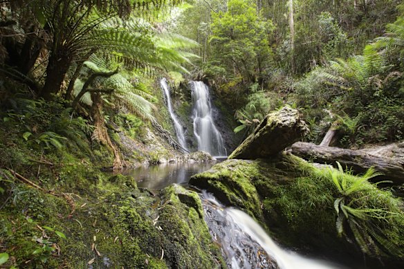 Strahan, Tasmania: Proving that Sydney hasn't got a monopoly on exceptionally photogenic harbours, Strahan on Tasmania's wild west coast has a gorgeous waterside location. But the jutting headlands and islets seen from one direction are matched by the green forest backdrop. Several creeks run into the harbour, with walking trails alongside them. The most lovable of these heads to fern-framed Hogarth Falls. 