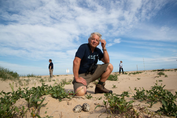 John Perkins, a veteran volunteer who has spends hundreds of hours a year protecting the beach-nesting birds of the South Durras region of the NSW South Coast.